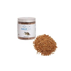 Askoll Diet Gammarus - Alimento naturale per tartarughe