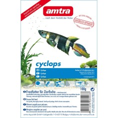 Amtra Cyclops Congelati in Cubetti Blister singolo da 100gr