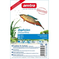 Amtra Dafnia Congelati in Cubetti Blister singolo da 100gr