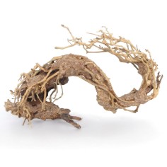 Amtra Legno Oriental Wind 2 Small cm22x10x15h