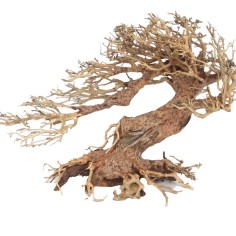 Amtra Legno Oriental Wind 3 Medium cm30x13x23h