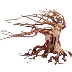 Amtra Legno Oriental Wind 6 Small cm23x10x17h