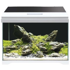 Amtra Modern Tank 40 LED - Acquario Equipaggiato 28L cm42,5×23,5×36,5h 2