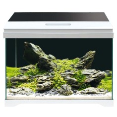 Amtra Modern Tank 50 LED - Acquario Equipaggiato 40L cm50,5x25,5x40h