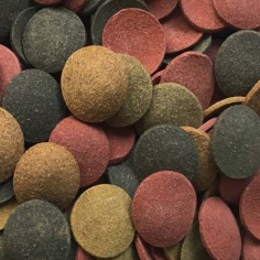 Amtra Pro Chips - Mangime in tavolette affondanti per pesci da fondo 2