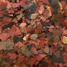 Amtra Pro Flakes - Mangime in scaglie per pesci d’acquario d’acqua dolce e marina 2