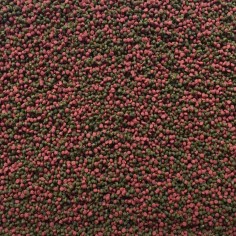 Amtra Pro Gran 0.5 100ml/60gr - alimento in microgranuli per tutte le specie di pesci 2