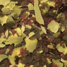 Amtra Pro Oranda Flakes 2