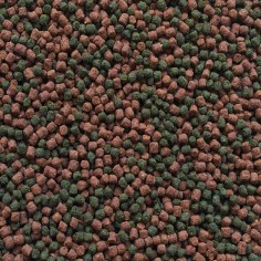 Amtra Pro Oranda Granular 2