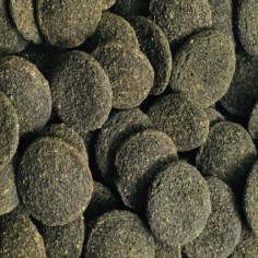 Amtra Pro Pleco T - Mangime in tavolette a base di lignina e minerali per Loricaridi 2