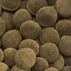 Amtra Pro Weekend 9gr - Mangime in tavolette affondanti a lento rilascio 2