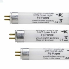 Korallen-zucht coral light Fiji Purple T5 24watt