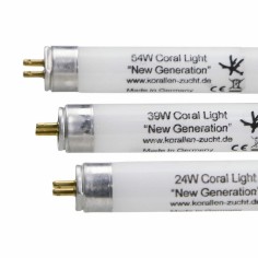 Korallen-zucht coral light New Generation T5 24watt - 14000°K