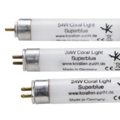 Korallen-zucht coral light Super Blue T5 24watt