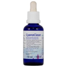 Korallen-Zucht CyanoClean
