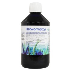 Korallen-Zucht FlatwormStop - protegge i coralli dalle turbellarie che si cibano del tessuto delle acropore