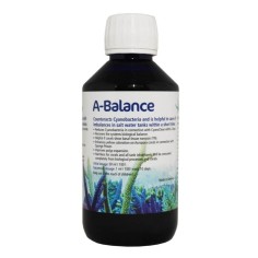 Korallen-Zucht Pohl's A-Balance