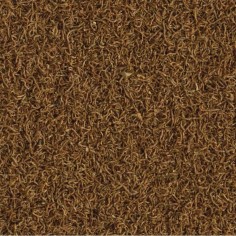 Tetra Delica Bloodwoorms 100ml - chironomus liofilizzato 2