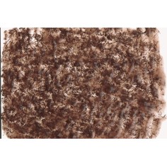 Tetra Fresh Delica Bloodworms Chironomus 48gr 16 bustine 2