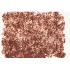 Tetra Fresh Delica Brine Shrimps Artemia 48gr 16 bustine 2