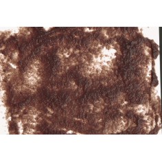 Tetra Fresh Delica Daphnia 48gr 16 bustine 2