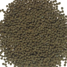 Tetra Goldfish Colour Sticks 100ml 2