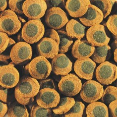 Tetra Pleco Spirulina Wafers 250ml - Mangime di base per tutti i grandi pesci erbivori che si nutrono sul fondo 2