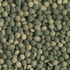 Tetra Pleco Tablets 120 Compresse ad Alta Percentuale di Spirulina - Indicato per Pesci da Fondo Vegetariani 2