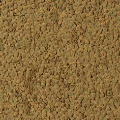 Tetra Pleco VeggieWafer 2