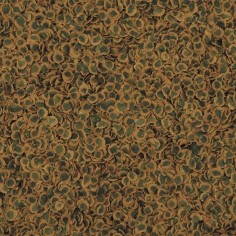 Tetra Pro Algae vari formati 2