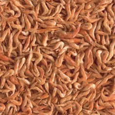 Tetra ReptoDelica Shrimps 250ml - Ghiottoneria a base di gamberetti per tutte le tartatughe d'acqua 2