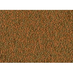 Tetra Wafer Mini Mix 100ml - Alimento Base per tutti i pesci da Fondo e Crostacei 2