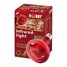 Hobby Infrared Light - Lampada a Raggi Infrarossi