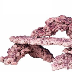 Aquaforest AF Rock Arch 10kg - Rocce Sintetiche per acquari marini