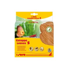 Sera Catappa Leaves 10pz - foglie di mandorlo indiano