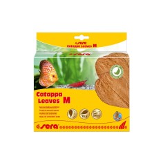 Sera Catappa Leaves 10pz - foglie di mandorlo indiano