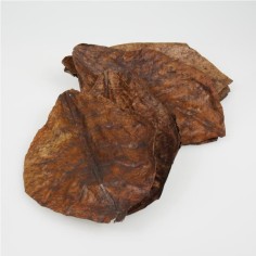 JBL Catappa XL - foglie di mandorlo tropicale formato XL per acquario 2