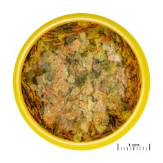 JBL ProNovo Bel Flakes S 100ml - Mangime base in fiocchi per tutti i pesci ornamentali da 3 a 10cm 2