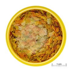 JBL ProNovo Betta Flakes S 100ml - fioccato di base per Betta da 3 a 10cm 2