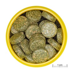 JBL ProNovo Botia Tab M 100ml - Compresse di mangime per tutti i cobitidi da 1a a 20 cm 2