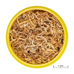 JBL ProNovo Fil 250ml - Chironomus liofilizzati per tutti i pesci tropicali 2