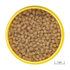 JBL ProNovo Lotl Grano M 250ml - Mangime base in granuli per Assolotti e Tritoni da 8 a 20cm 2