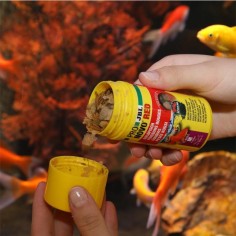 JBL ProNovo Red Flakes M - Mangime base in fiocchi per tutti i pesci rossi da 8 a 20cm 2