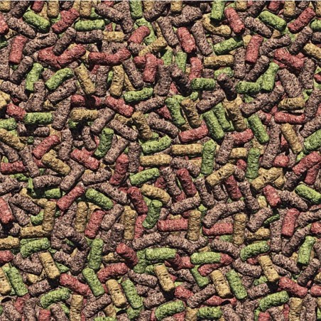 JBL ProPond All Seasons - Mangime per tutti i pesci da laghetto