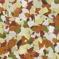 JBL ProPond Flakes M - Mangime in Fiocchi per Pesci da Laghetto 2