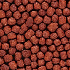 Hikari Blood-Red Parrot Mini Pellet 333gr 2