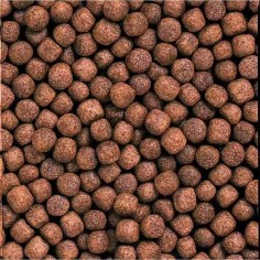 Hikari Cichlid Bio-Gold Plus Medium Pellet 250gr 2