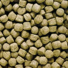 Hikari Cichlid Excel Medium 250gr ( Pellet Completo per Ciclidi Africani ed altri Pesci Erbivori di Media e Grossa Taglia 2