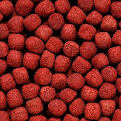 Hikari Cichlid Gold Medium Pellet 250gr 2