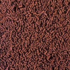 Hikari Crab Cuisine 50gr - Pellet Completo per tutti Crostacei-Paguri, Gamberetti, Granchi ed altre Specie 2